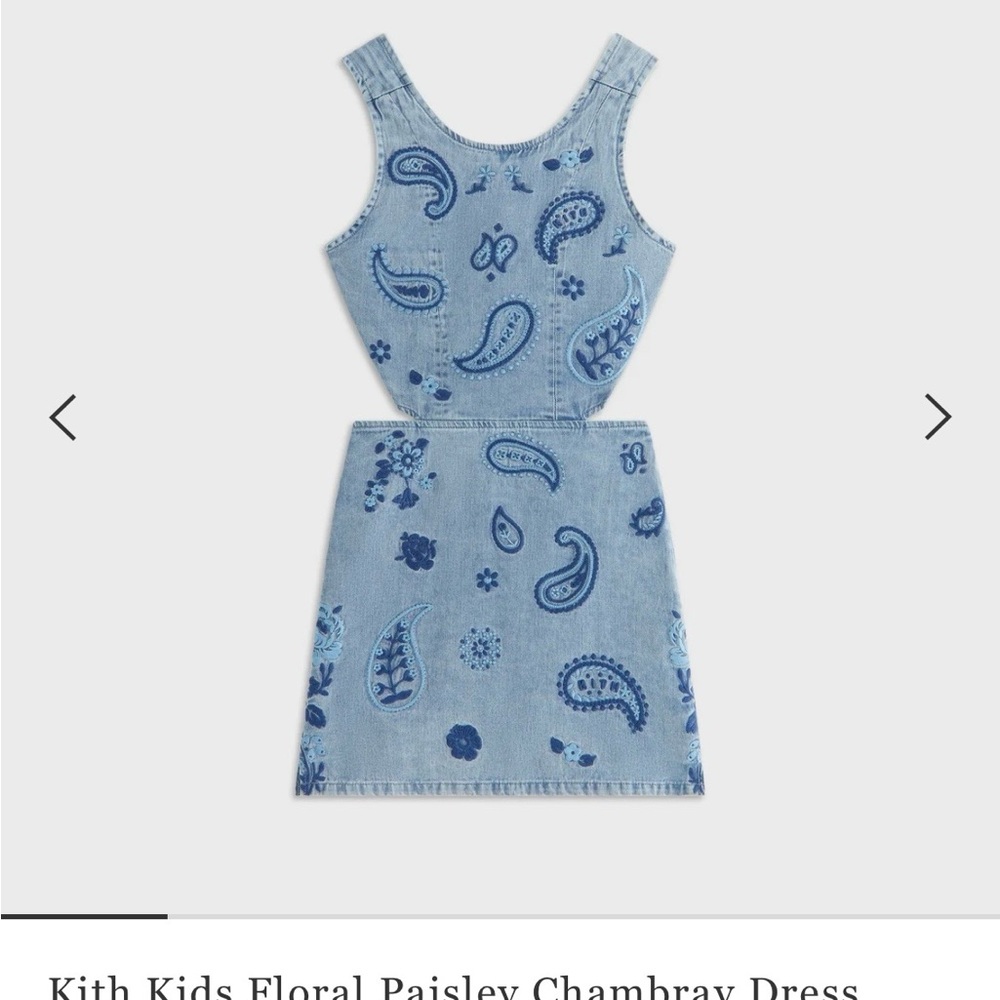 Kith Kids NWT Blue Floral Paisley Chambray Dress XS (4/5)